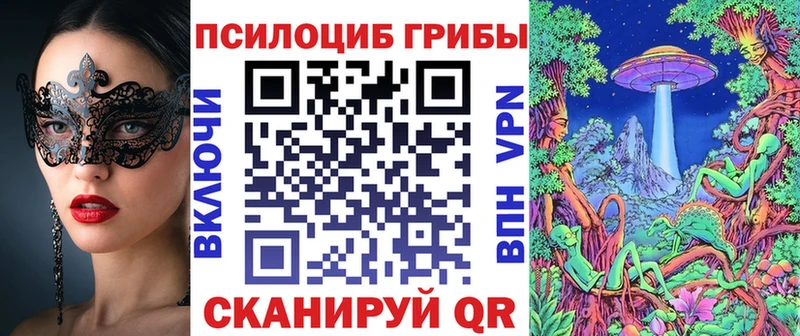 МЕГА зеркало  Лермонтов  Галлюциногенные грибы Magic Shrooms  наркошоп 