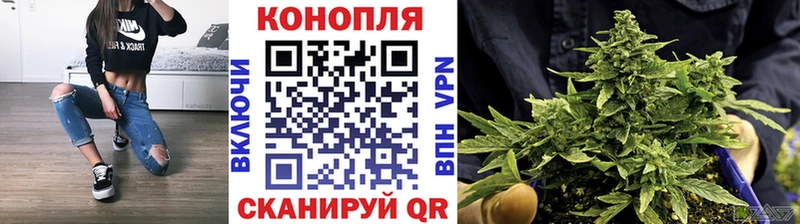 Конопля Amnesia Лермонтов